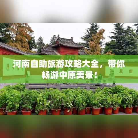 河南自助旅游攻略大全，帶你暢游中原美景！