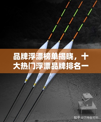 品牌浮漂榜單揭曉，十大熱門浮漂品牌排名一網(wǎng)打盡！