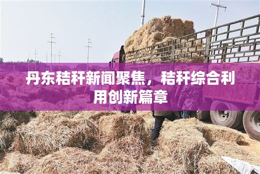 丹東秸稈新聞聚焦，秸稈綜合利用創新篇章