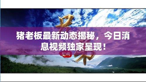 豬老板最新動態揭秘，今日消息視頻獨家呈現！