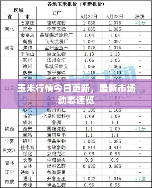 玉米行情今日更新，最新市場動態速覽