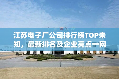 江蘇電子廠公司排行榜TOP未知，最新排名及企業(yè)亮點(diǎn)一網(wǎng)打盡
