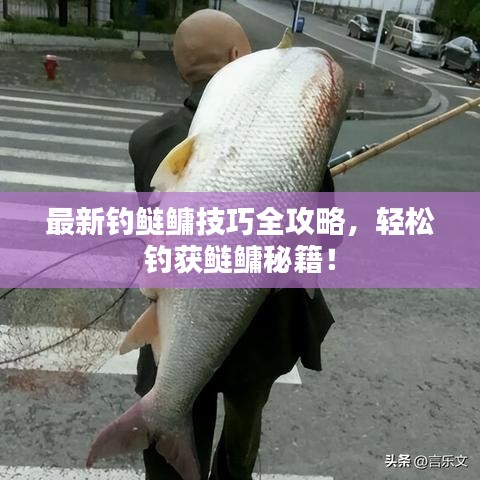 最新釣鰱鳙技巧全攻略，輕松釣獲鰱鳙秘籍！