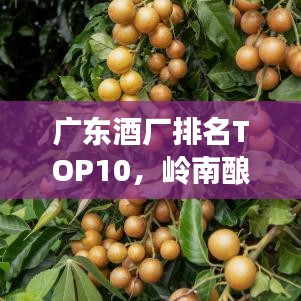 神采飛揚 第2頁