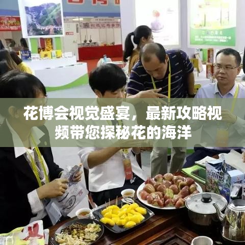 花博會視覺盛宴，最新攻略視頻帶您探秘花的海洋