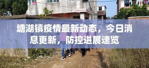 塘湖鎮(zhèn)疫情最新動(dòng)態(tài)，今日消息更新，防控進(jìn)展速覽