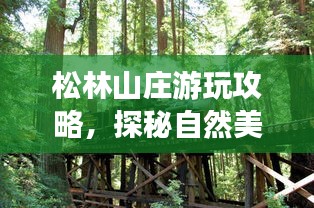 松林山莊游玩攻略，探秘自然美景，盡享度假樂趣！