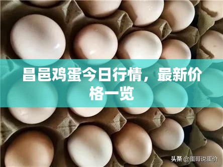 昌邑雞蛋今日行情，最新價格一覽