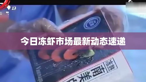 今日凍蝦市場最新動態速遞