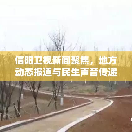信陽衛視新聞聚焦，地方動態報道與民生聲音傳遞