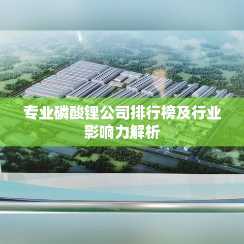 專業磷酸鋰公司排行榜及行業影響力解析