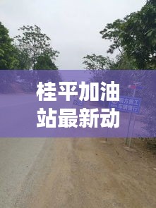 桂平加油站最新動態(tài)報道速遞