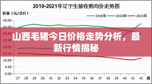 囫圇吞棗 第2頁