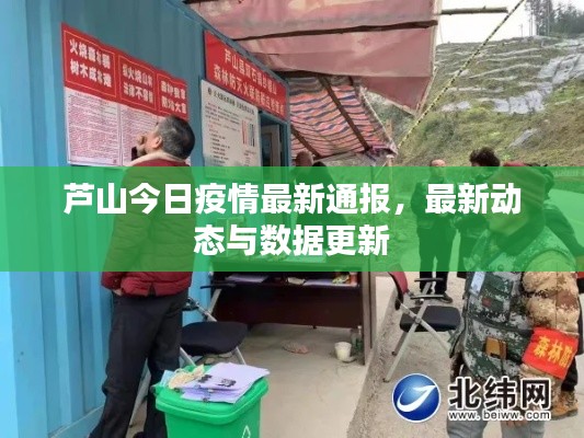 蘆山今日疫情最新通報，最新動態與數據更新