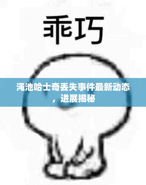 澠池哈士奇丟失事件最新動態，進展揭秘