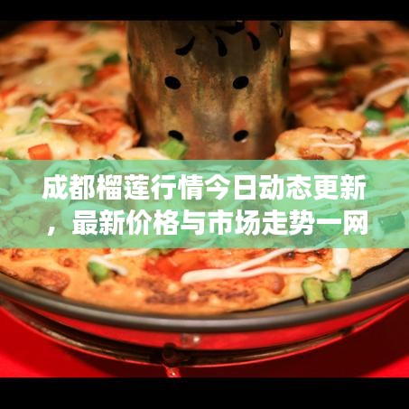 成都榴蓮行情今日動態更新，最新價格與市場走勢一網打盡！