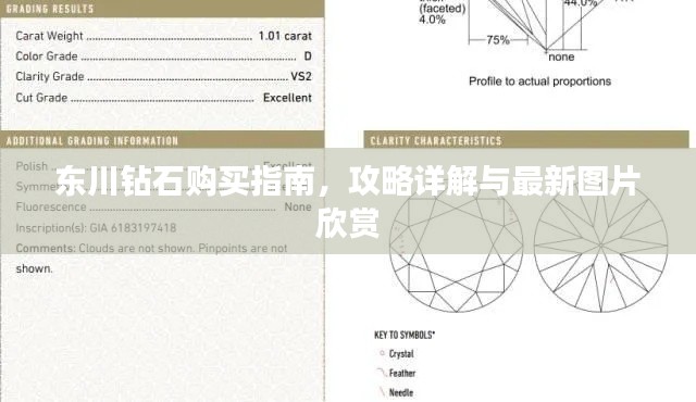 東川鉆石購(gòu)買指南，攻略詳解與最新圖片欣賞
