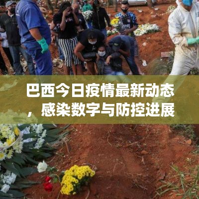 巴西今日疫情最新動態(tài)，感染數(shù)字與防控進展揭秘