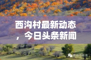 西溝村最新動態，今日頭條新聞報道聚焦此地！