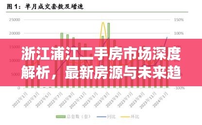 浙江浦江二手房市場深度解析，最新房源與未來趨勢展望（2024）