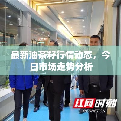 發(fā)奮圖強 第2頁