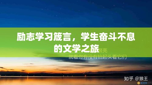 勵志學習箴言，學生奮斗不息的文學之旅