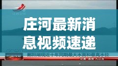 莊河最新消息視頻速遞，今日熱點一覽無余