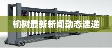 榆樹(shù)最新新聞動(dòng)態(tài)速遞