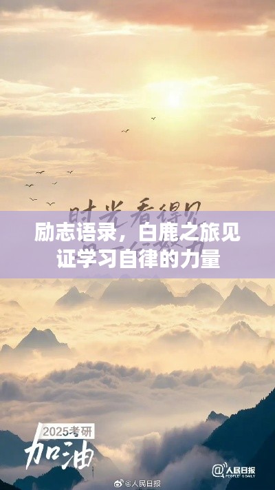 杳無音信 第2頁