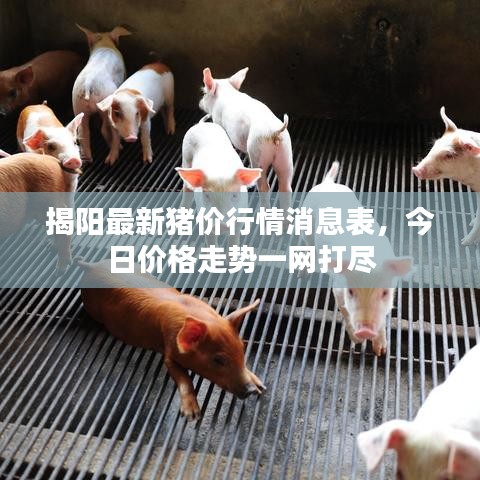 飛蝗蕪湖 第2頁(yè)