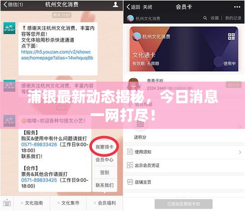 浦銀最新動態(tài)揭秘，今日消息一網(wǎng)打盡！