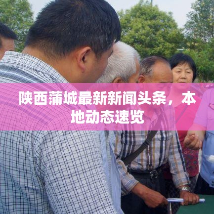 陜西蒲城最新新聞頭條，本地動態速覽