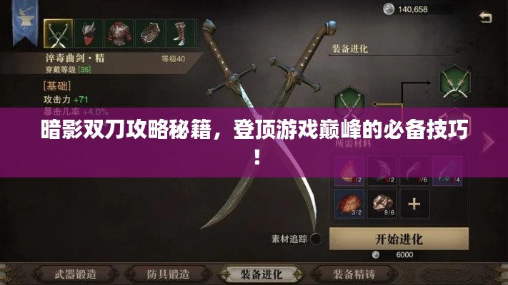 暗影雙刀攻略秘籍，登頂游戲巔峰的必備技巧！