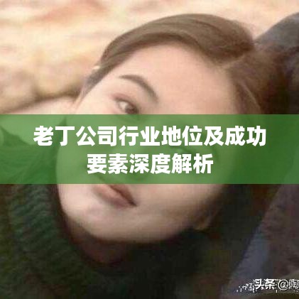 老丁公司行業地位及成功要素深度解析