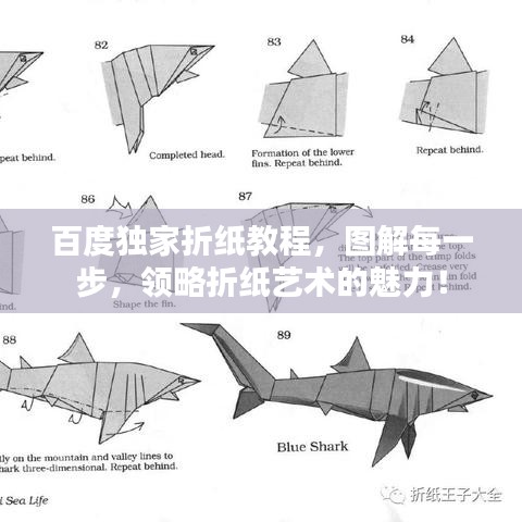 百度獨家折紙教程，圖解每一步，領略折紙藝術的魅力！