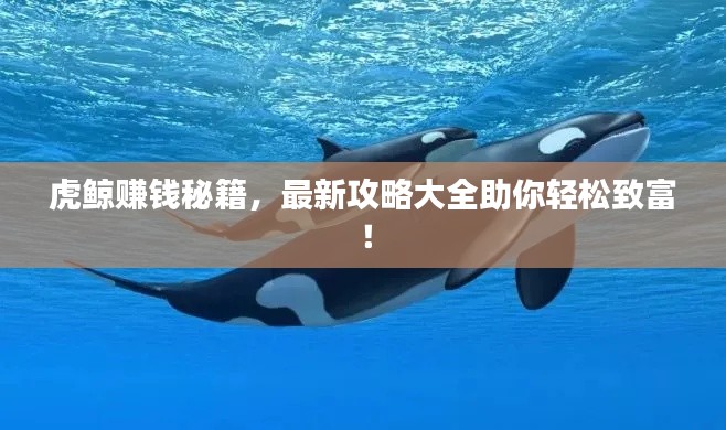 虎鯨賺錢秘籍，最新攻略大全助你輕松致富！