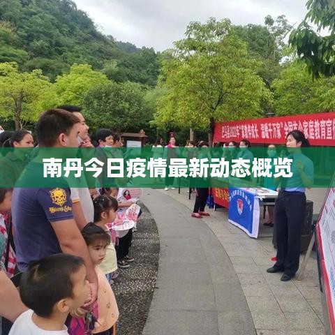 南丹今日疫情最新動態概覽