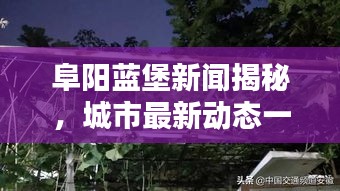 阜陽藍堡新聞揭秘，城市最新動態一網打盡