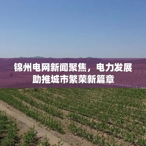 錦州電網新聞聚焦，電力發展助推城市繁榮新篇章