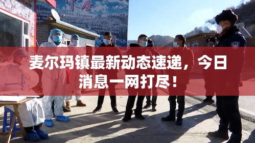 麥爾瑪鎮最新動態速遞，今日消息一網打盡！