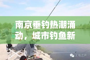 南京垂釣熱潮涌動，城市釣魚新聞頭條直播探尋新風尚