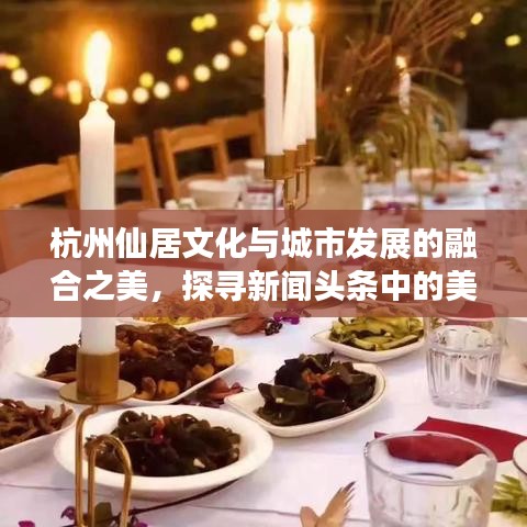 展翅高飛 第2頁(yè)