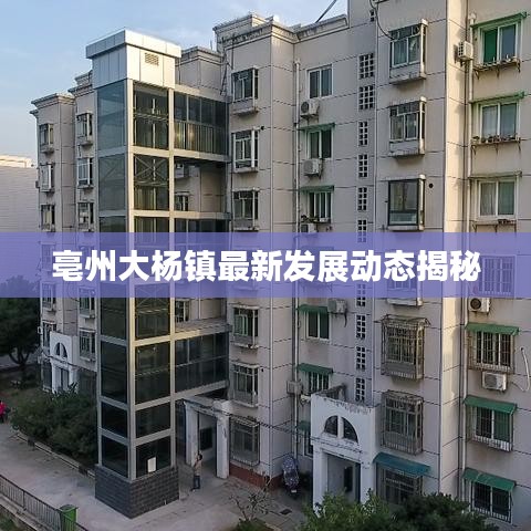 亳州大楊鎮最新發展動態揭秘