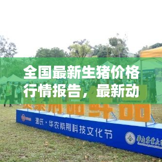 全國最新生豬價格行情報告，最新動態(tài)一網(wǎng)打盡
