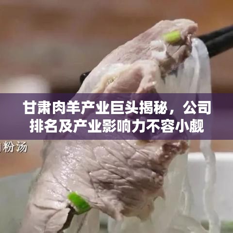 甘肅肉羊產業巨頭揭秘，公司排名及產業影響力不容小覷