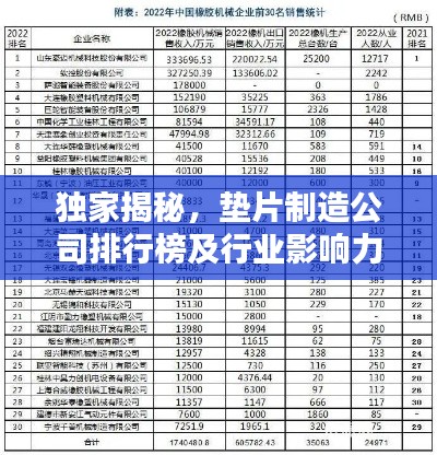 獨家揭秘，墊片制造公司排行榜及行業影響力分析