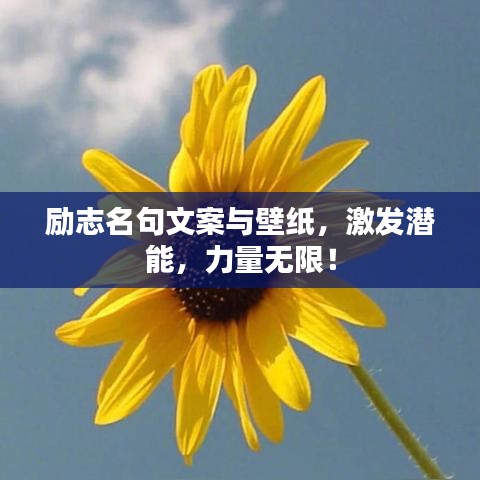 勵(lì)志名句文案與壁紙，激發(fā)潛能，力量無限！