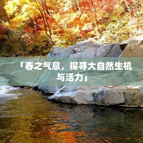 「春之氣息，探尋大自然生機(jī)與活力」