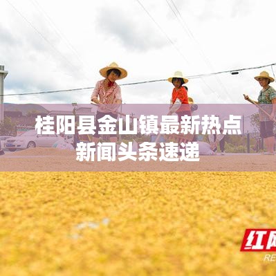 桂陽縣金山鎮(zhèn)最新熱點(diǎn)新聞頭條速遞