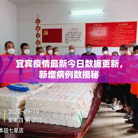 宜賓疫情最新今日數(shù)據(jù)更新，新增病例數(shù)揭秘